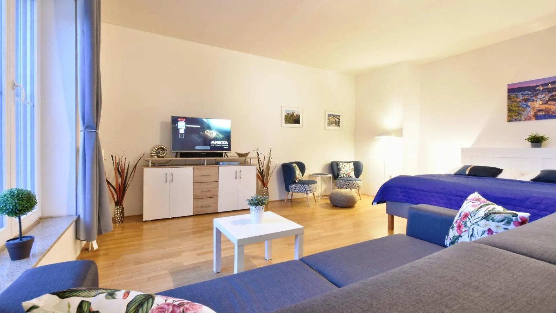 Karlsbad Apartment Karlovy Vary
